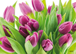 Frühling