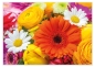 Preview: Tischset Platzset abwaschbar Flower Power von ARTIPICS