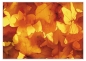 Preview: Tischset Platzset abwaschbar Herbstgold von ARTIPICS Kunststoff 42x30 cm