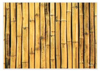 Papiertischset Bamboo 2