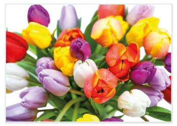 Tischset Platzset abwaschbar For You (Tulips) von ARTIPICS Kunststoff 42x30 cm