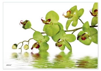 Papiertischset Green Orchid