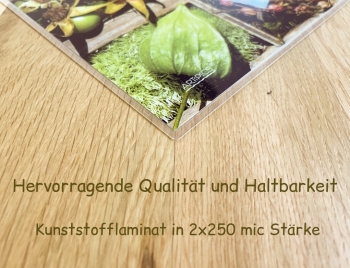 Tischset Platzset abwaschbar Herbstkästchen