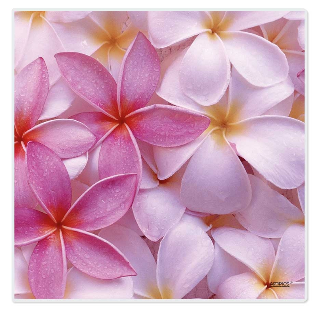 Tischset abwaschbar Frangipani Quadrino von ARTIPICS Platzset Kunststoff 30x30 cm