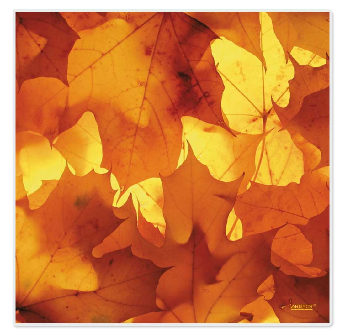 Tischset abwaschbar Herbstgold Quadrino von ARTIPICS Platzset Kunststoff 30x30 cm