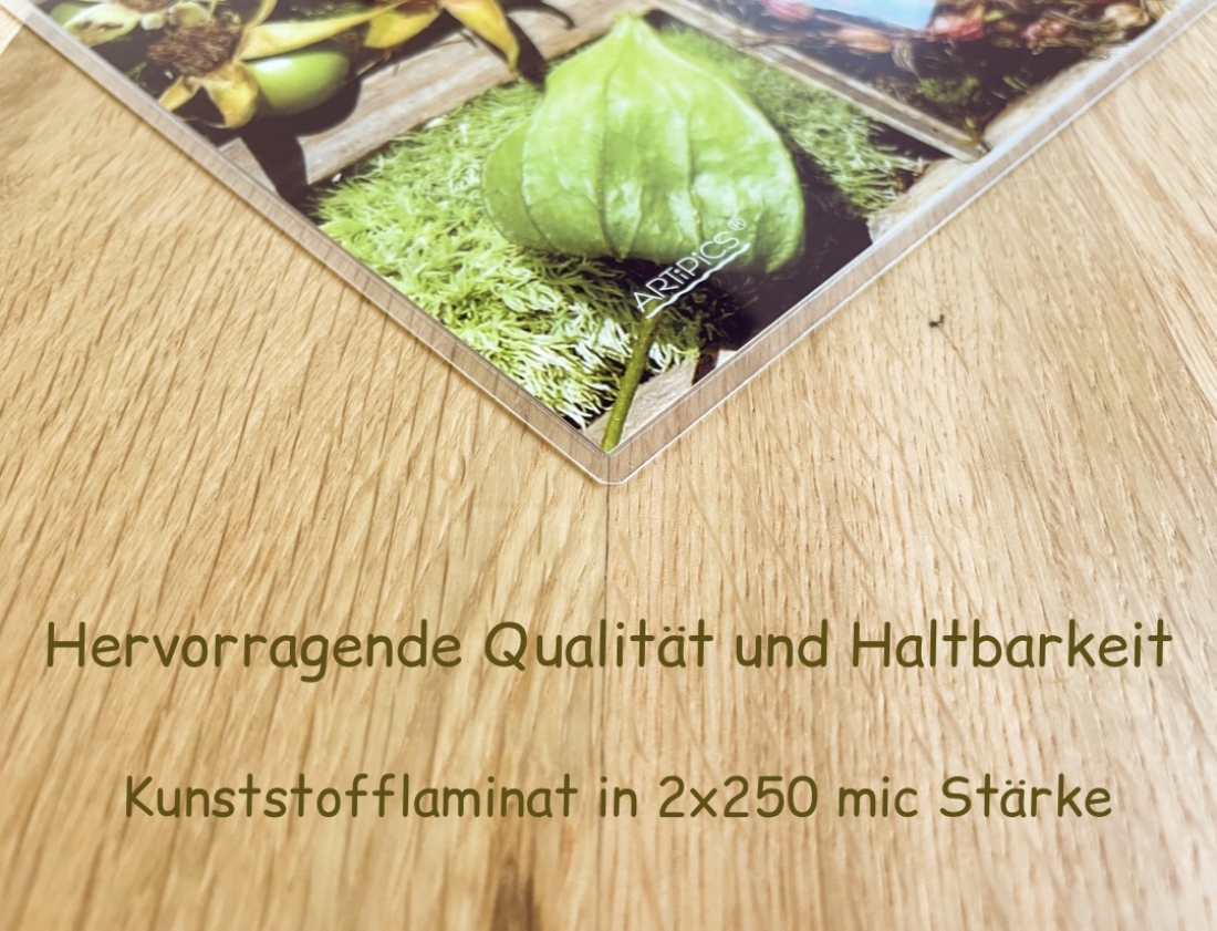 Tischset Platzset abwaschbar Herbstkästchen