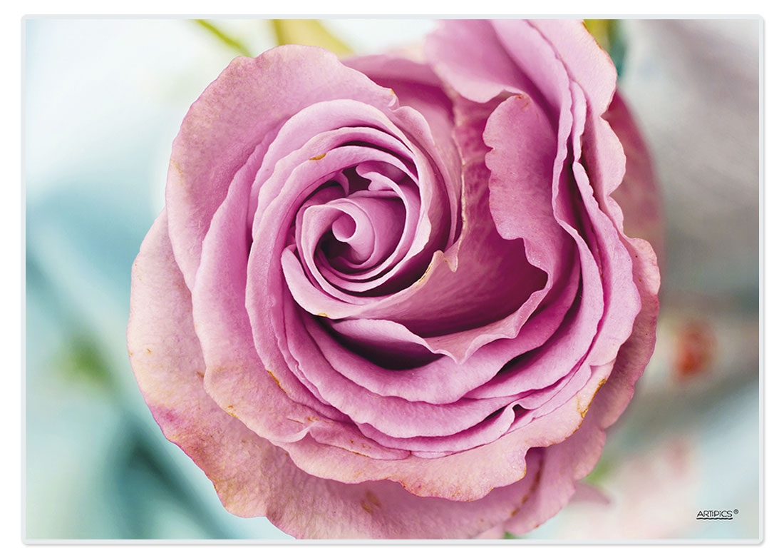 Platzset Pink Rose für romantische Anlässe | ARTIPICS