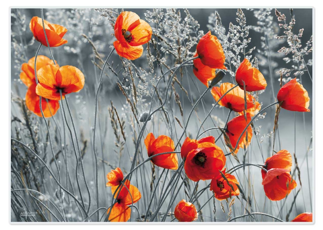 Tischset Platzset abwaschbar Red Poppies von ARTIPICS Kunststoff 42x30 cm