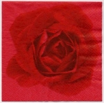 Servietten 33 x 33 cm, mit großen Rosen, Design: Big Red